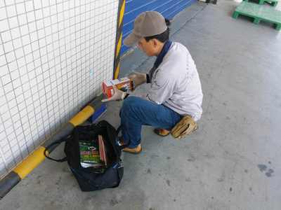 食品廠老鼠防治方案，早用早省心 清潔服務(wù)助您無(wú)憂經(jīng)營(yíng)